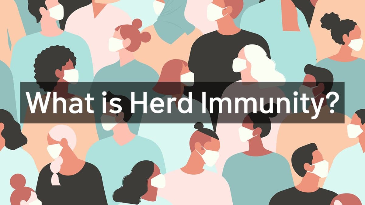 Fact Check: . vaccines are to protect people like you with herd immunity.