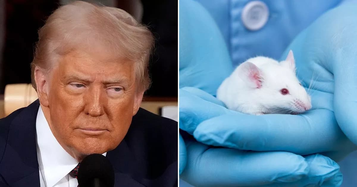 Fact Check: Trump's reading ability