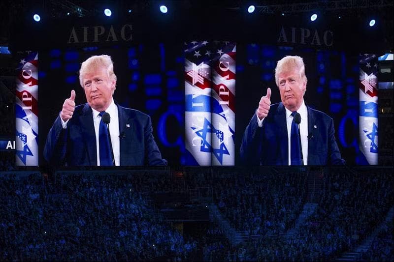 Fact Check: The Israel lobby is the most powerful lobby in America 