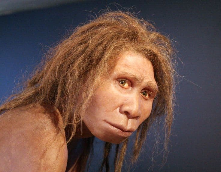 Fact Check: Cavemen had more testosterone than modern men 