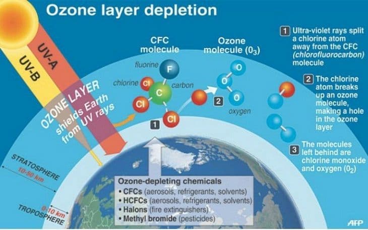 Fact Check: Are cfcs greenhouse gases?
