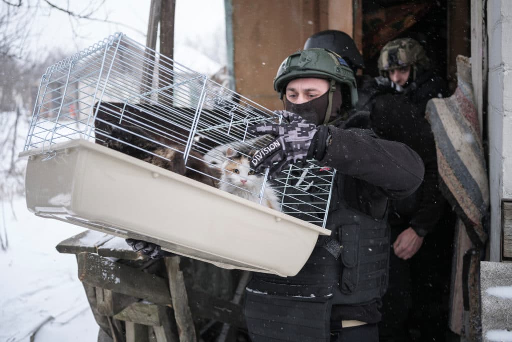 Fact Check: ukraine shelled dombass