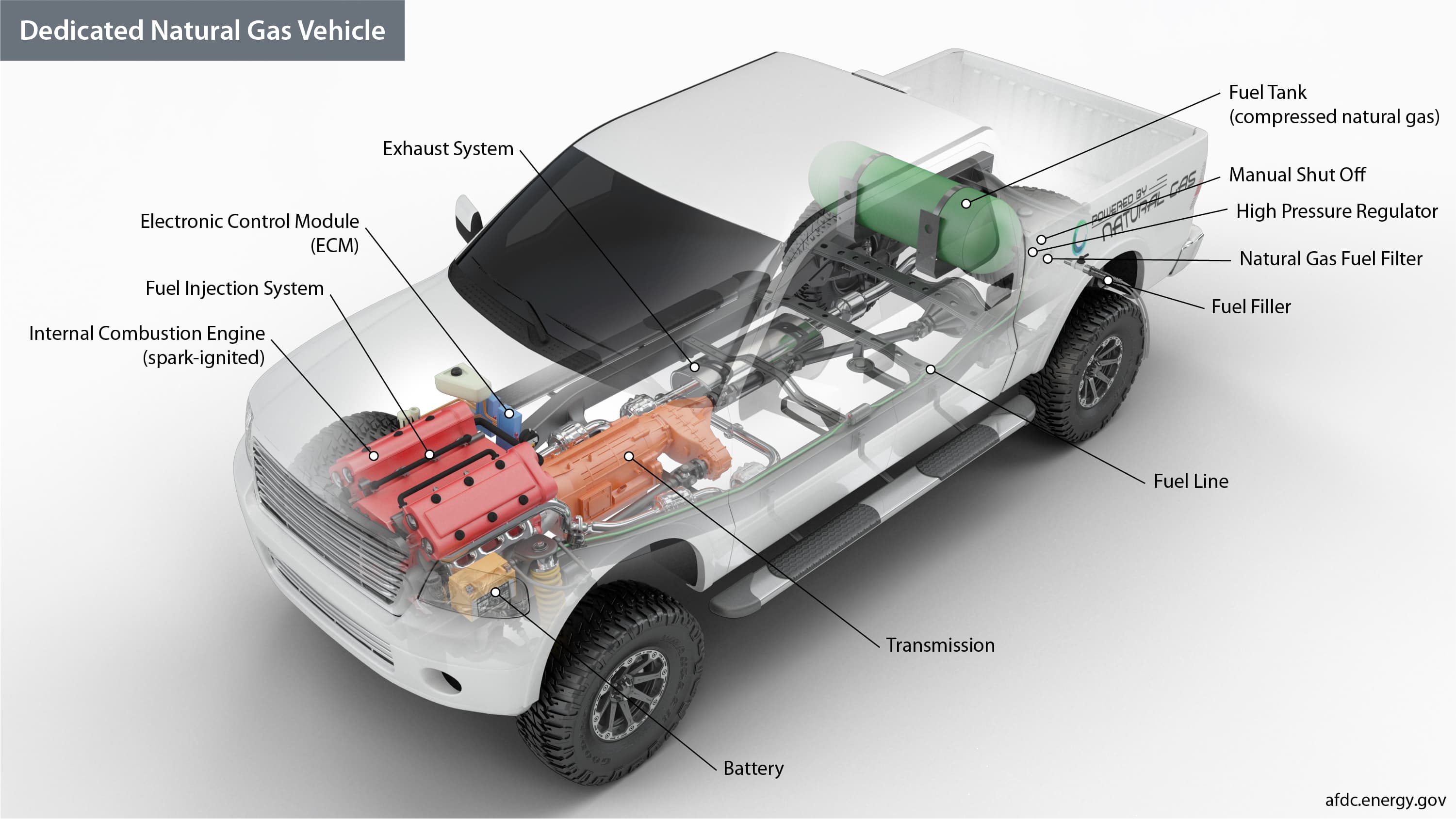 Fact Check: Are cng cars safe?