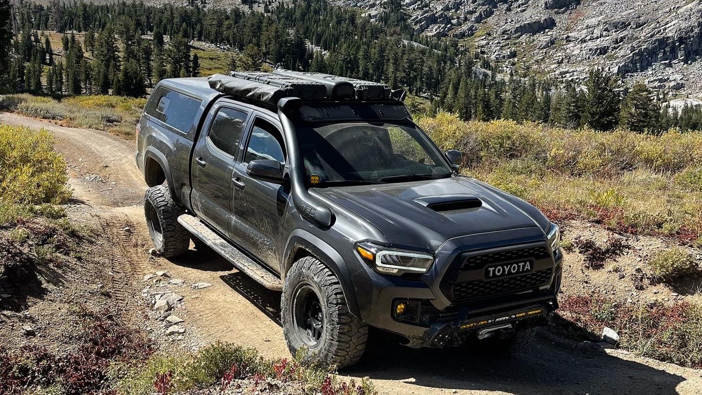 Fact Check: Are CX Revo?