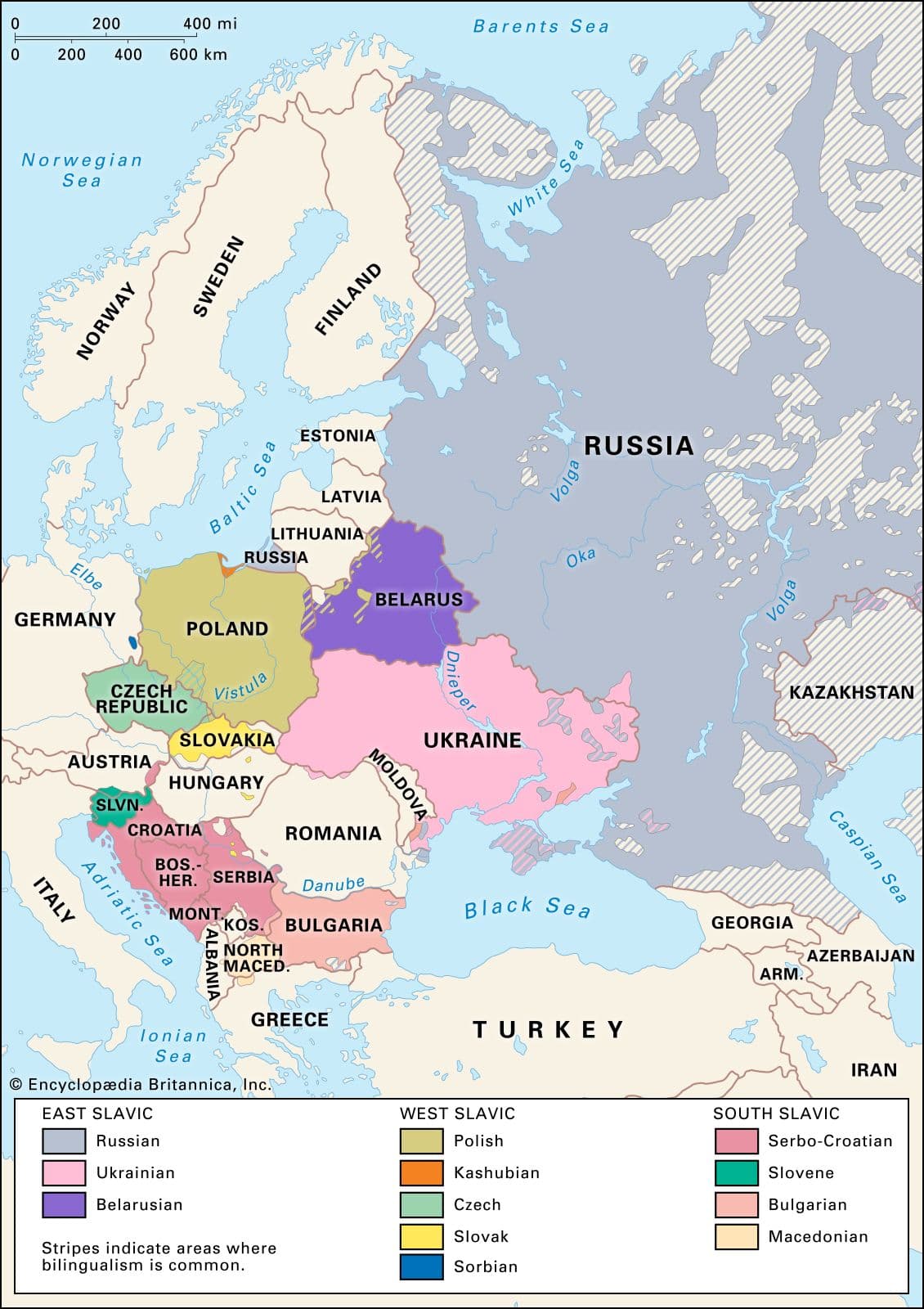 Fact Check: Are Czech Slavic?