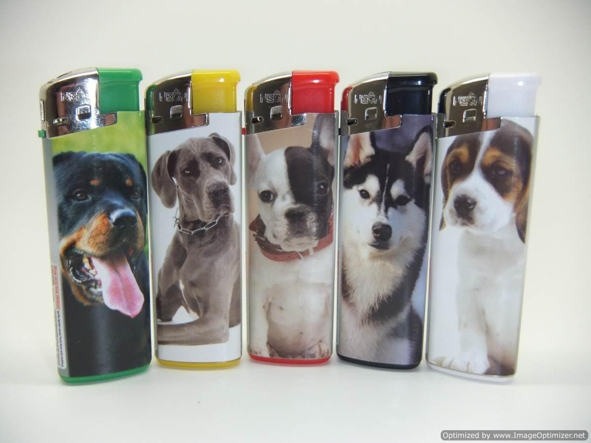 Fact Check: Are DG lighters refillable?
