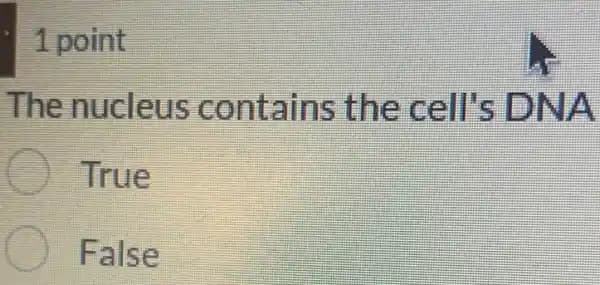 Fact Check: Are DNA cells?