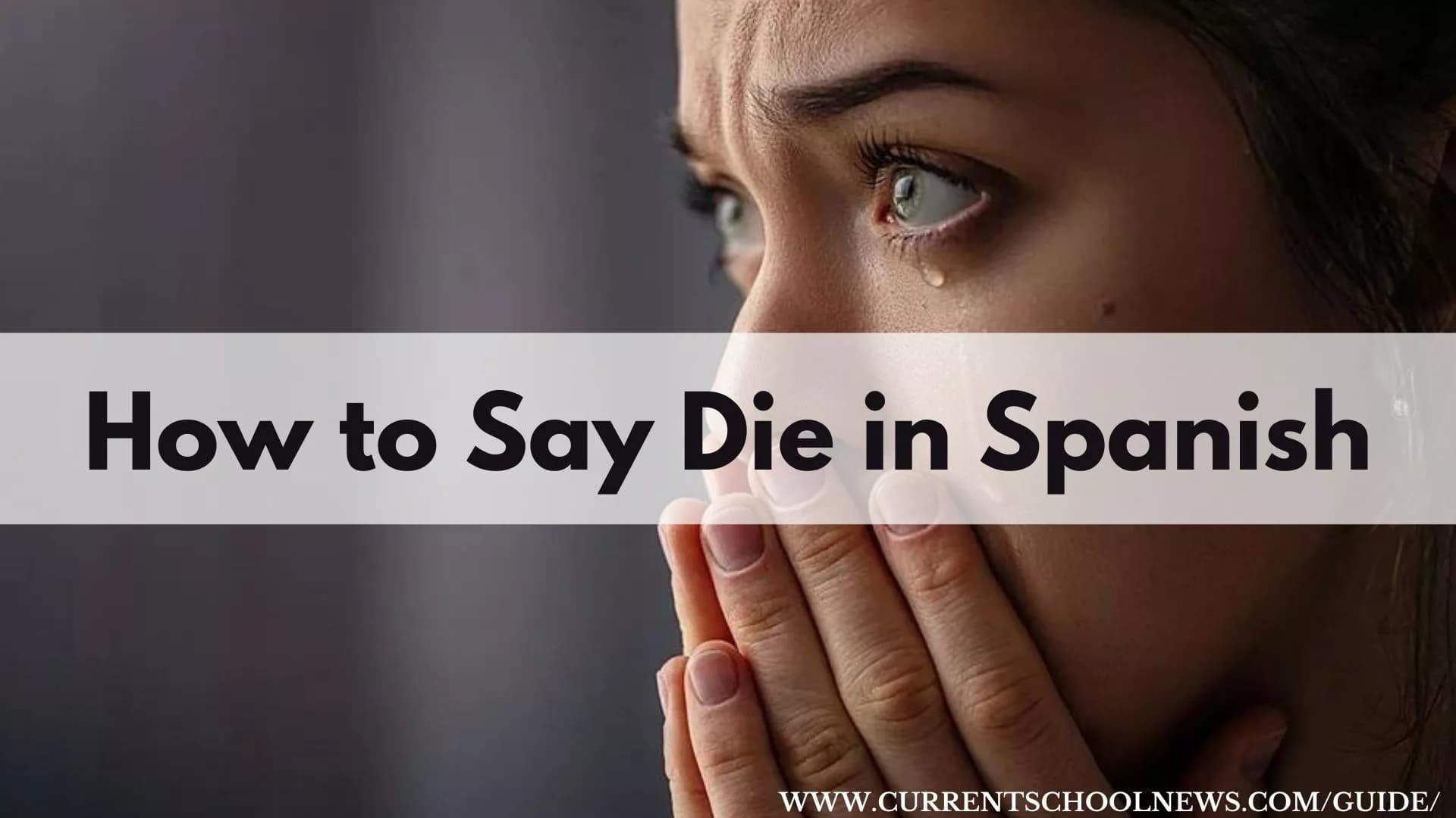 Fact Check: Are dying in Spanish?