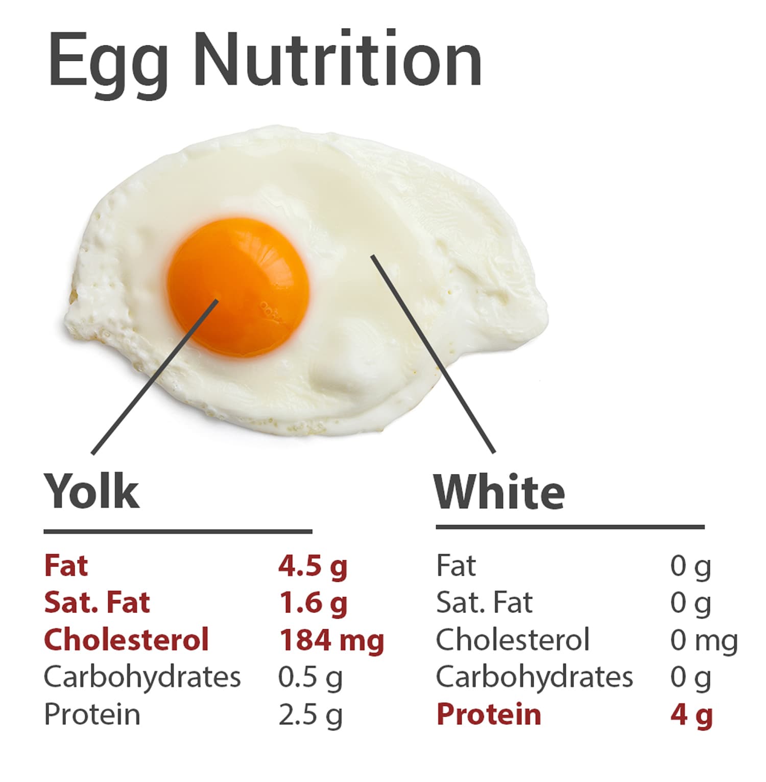 Fact Check: Are eggs high in cholesterol?