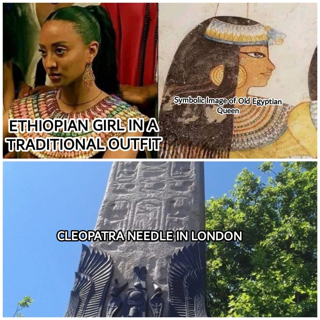 Fact Check: Are Egyptians Arabs?
