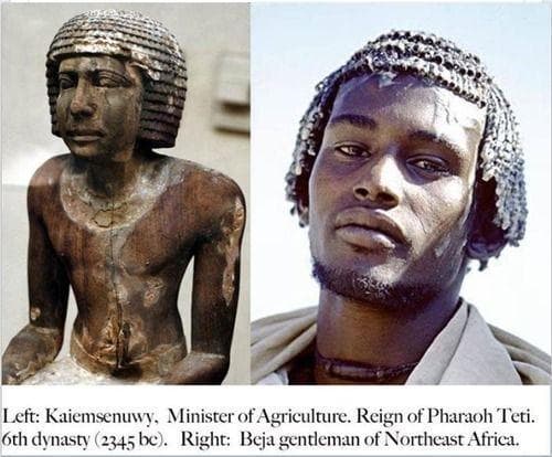 Fact Check: Are Egyptians black?