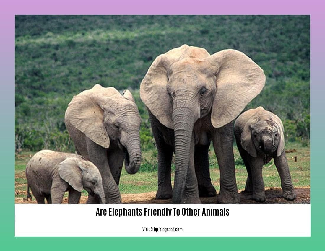 Fact Check: Are elephants friendly?