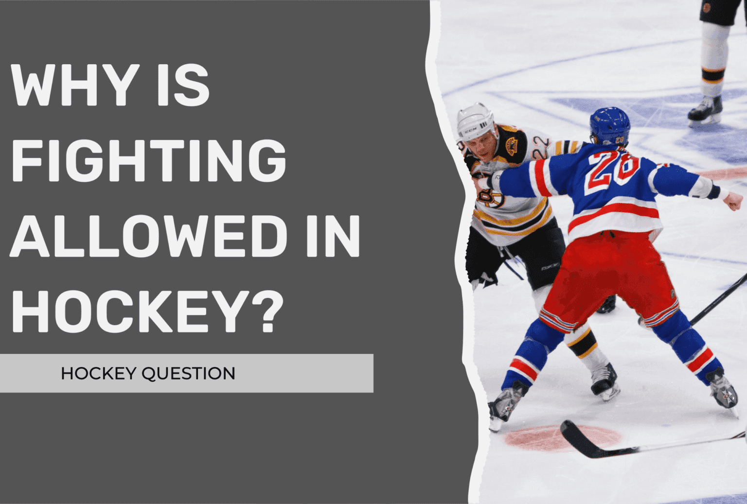 Fact Check: Are fights allowed in hockey?