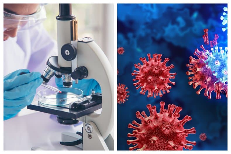 Fact Check: was covid created in a lab?
