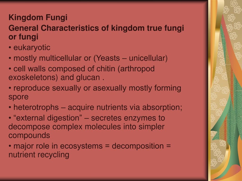 Fact Check: Are fungi eukaryotic?