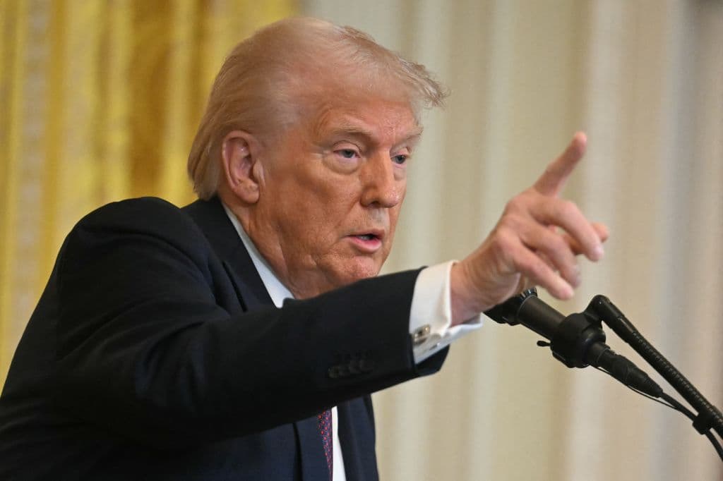 Fact Check: Trump is mentioned 64 times in the Epstein report