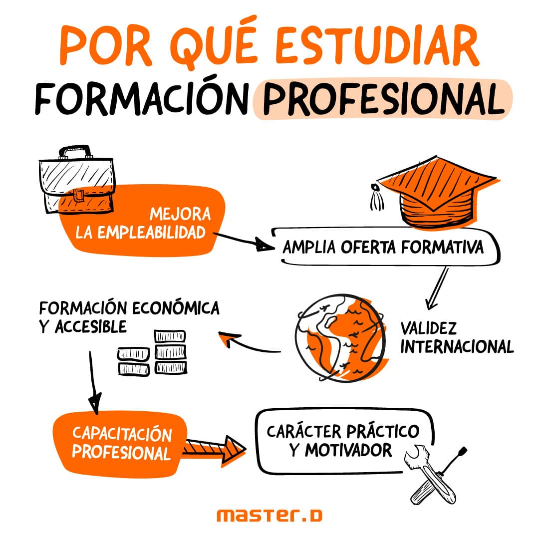 Fact Check: Are Formación Profesional programs recognized?