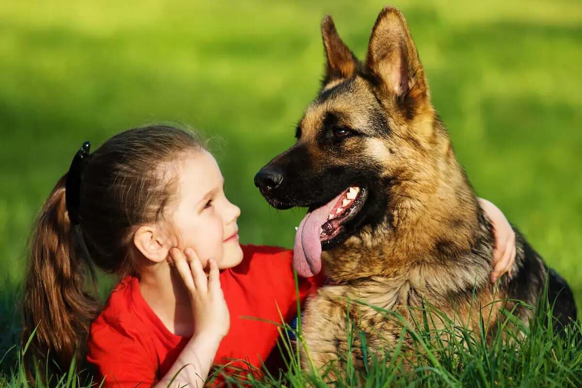 Fact Check: Are German Shepherds good with kids?
