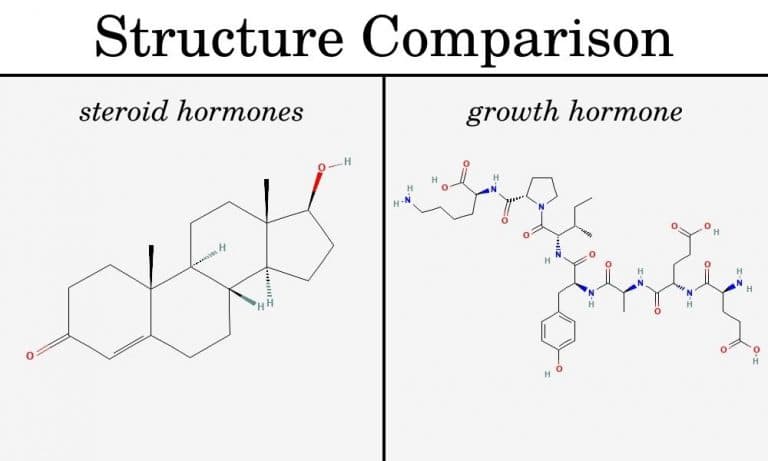 Fact Check: Are HGH steroids?
