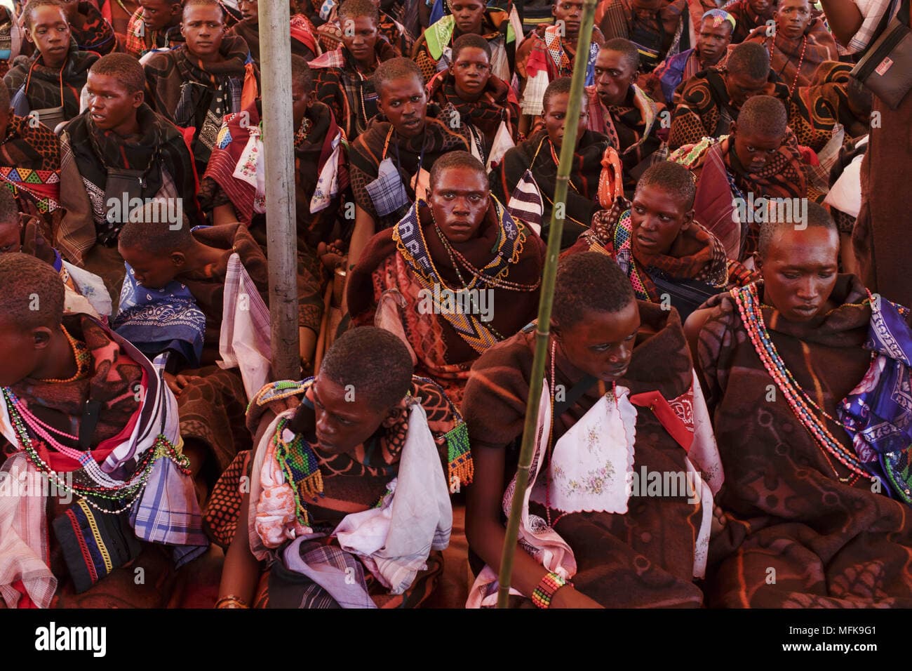 Fact Check: Are Hlubi people Xhosa?