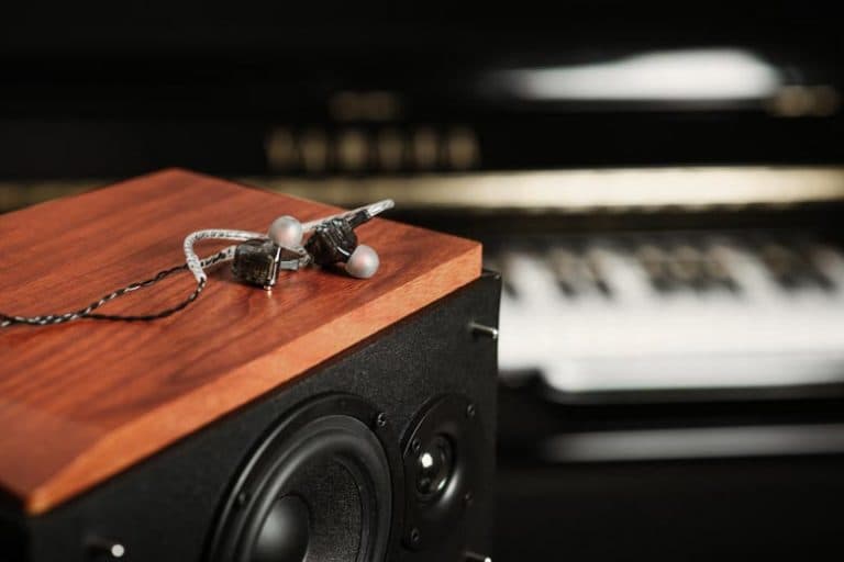 Fact Check: Are IEMs good for music?