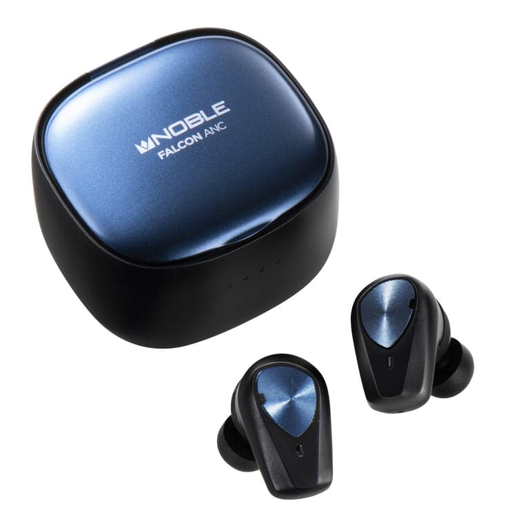 Fact Check: Are IEMs noise cancelling?