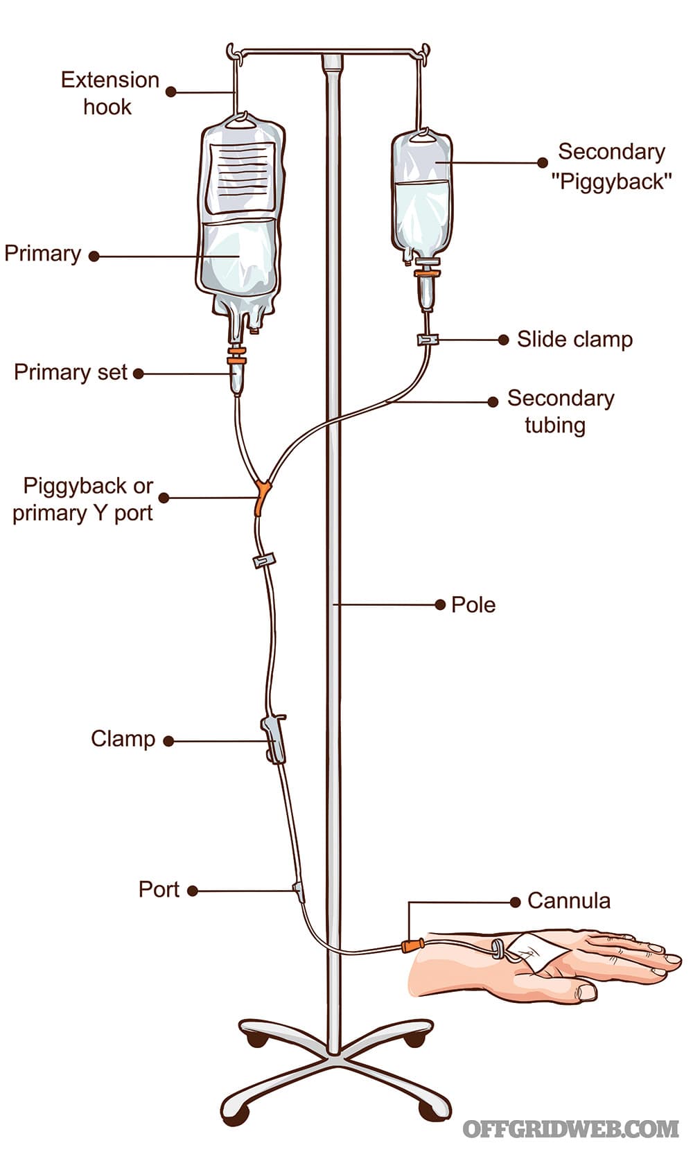 Fact Check: Are IV drips safe?