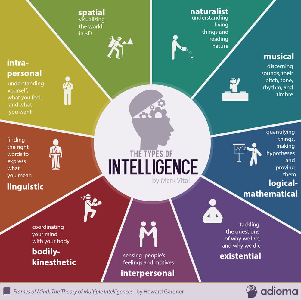 Fact Check: The theory of multiple intelligence is discredited and qualified as pseudoscience.
