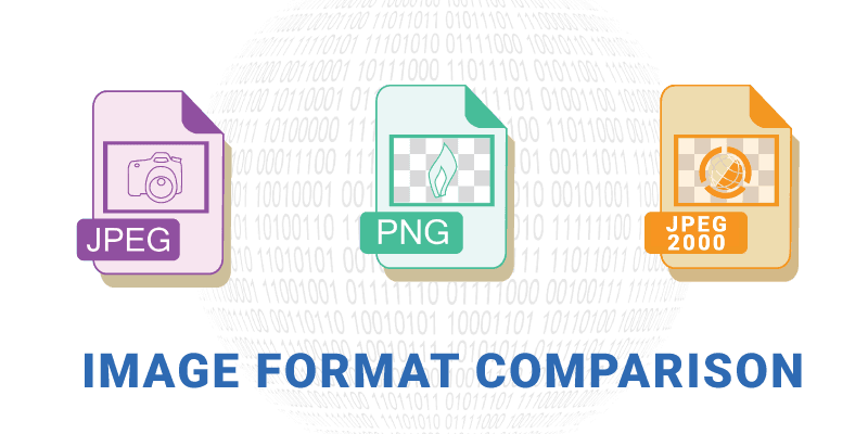 Fact Check: Are JPG or PNG better?