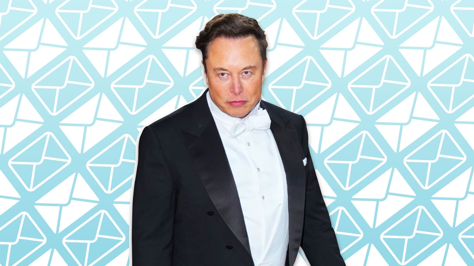 Fact Check: Is Elon a bitch