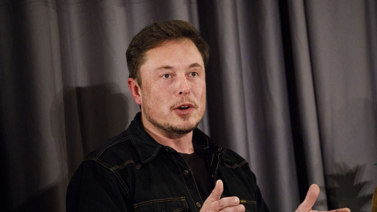 Fact Check: Elon musk is ugly