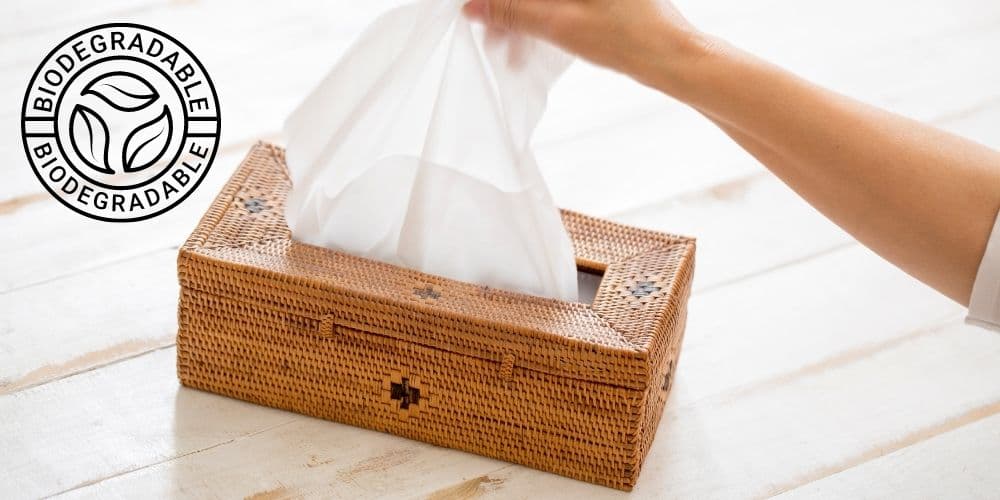 Fact Check: Are Kleenex compostable?