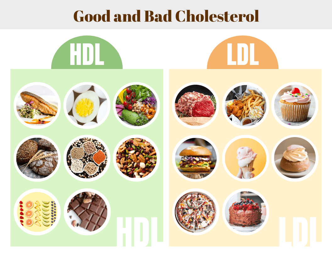 Fact Check: Are LDL good or bad?