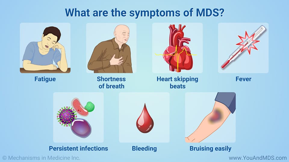 Fact Check: Are MDs doctors?