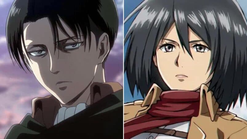 Fact Check: Are Mikasa and Levi related?