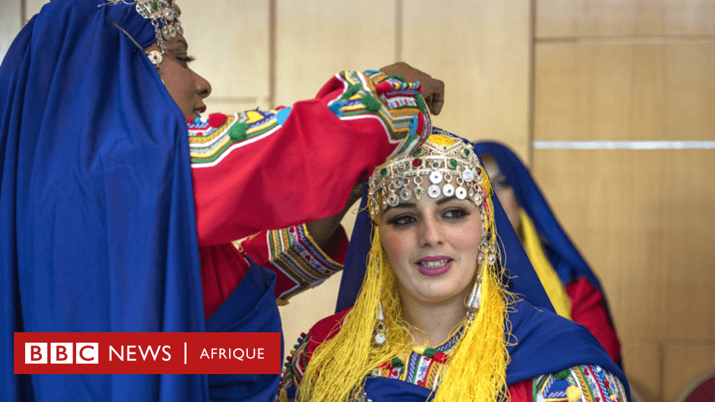 Fact Check: Are Moroccans Arab?