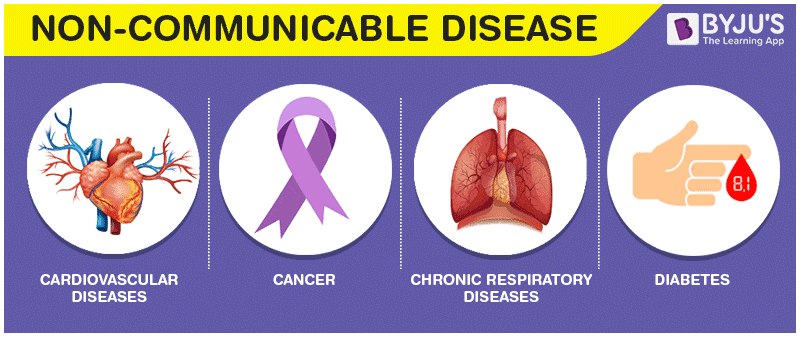 Fact Check: Are NCDs safe?