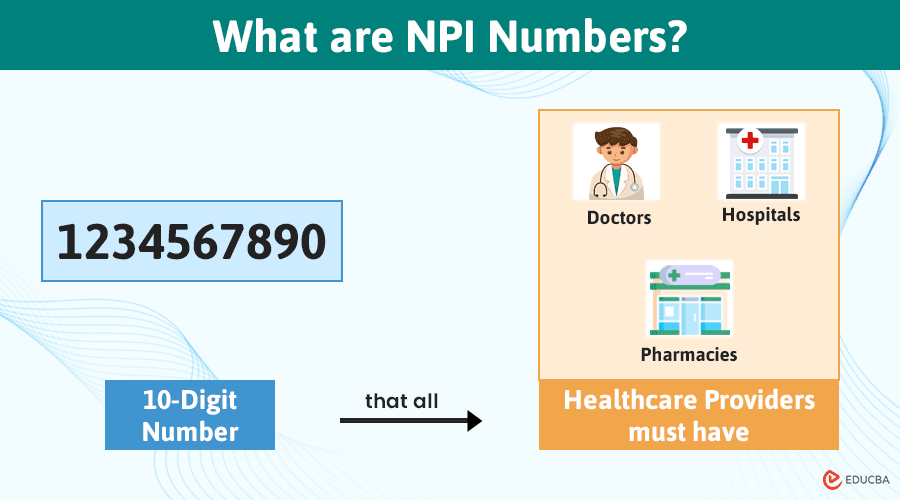 Fact Check: Are NPI numbers public?