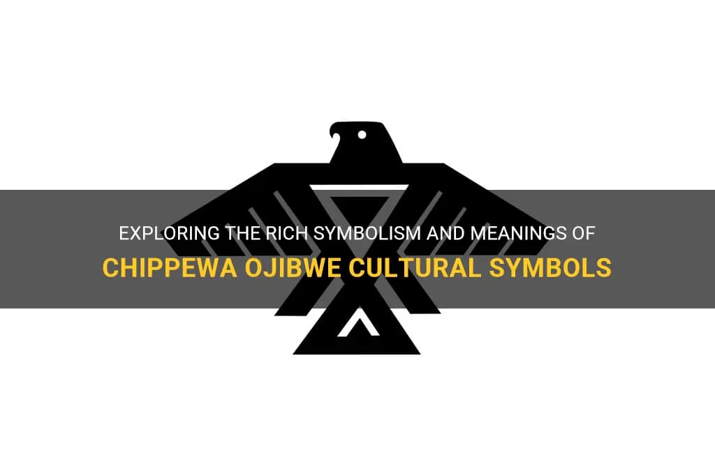 Fact Check: Are Ojibwe and Chippewa the same?