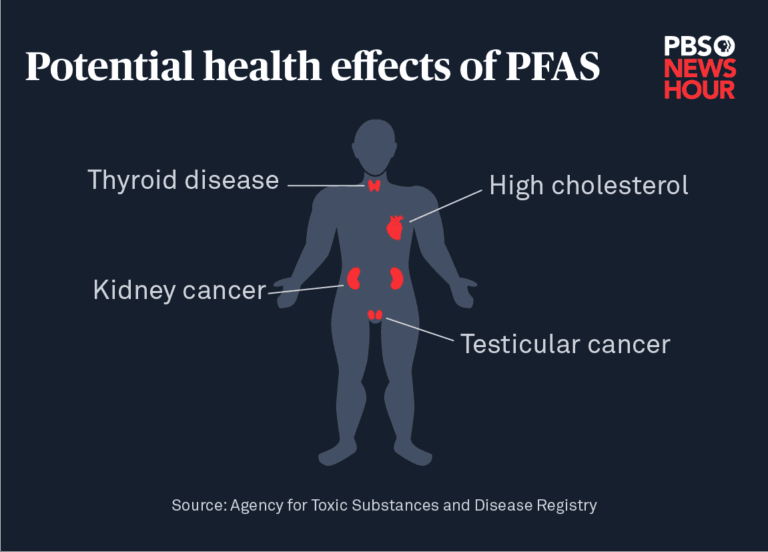 Fact Check: Are PFAS harmful?