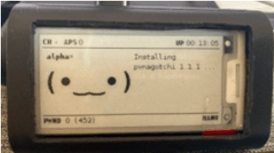 Fact Check: Are Pwnagotchis legal?