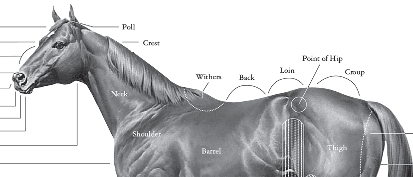 Fact Check: Are QH parts any good?
