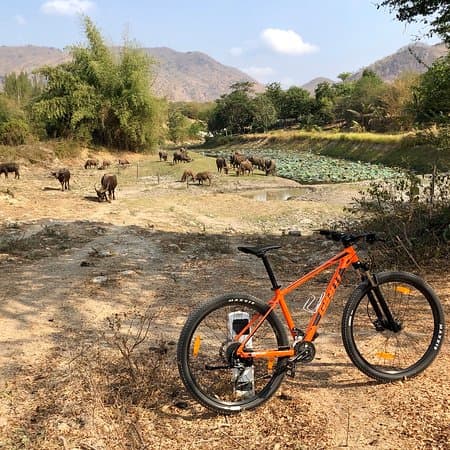 Fact Check: Velo will be used in thailand