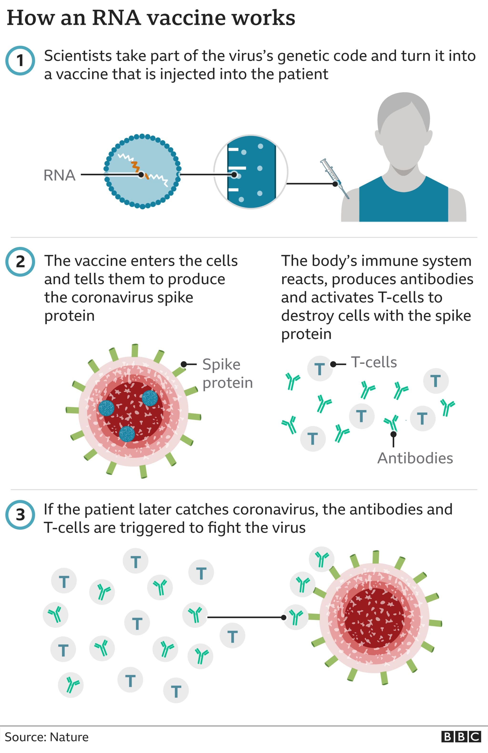 Fact Check: Are RNA vaccines safe?