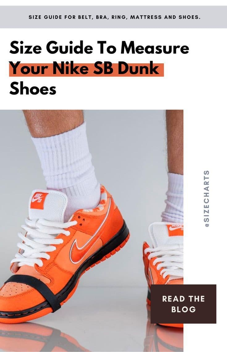 Fact Check: Are SB Dunks true to size?