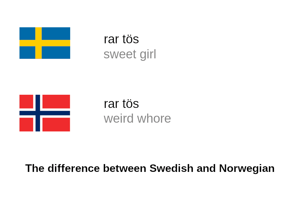 Fact Check: Are Swedish and Norwegian similar?