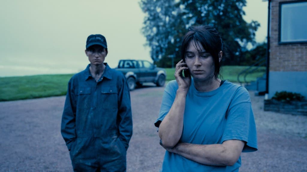 Fact Check: Are Swedish series?