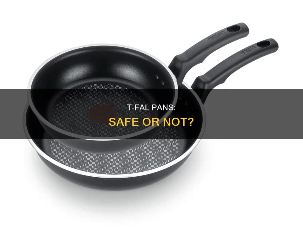 Fact Check: Are T-fal pans safe?