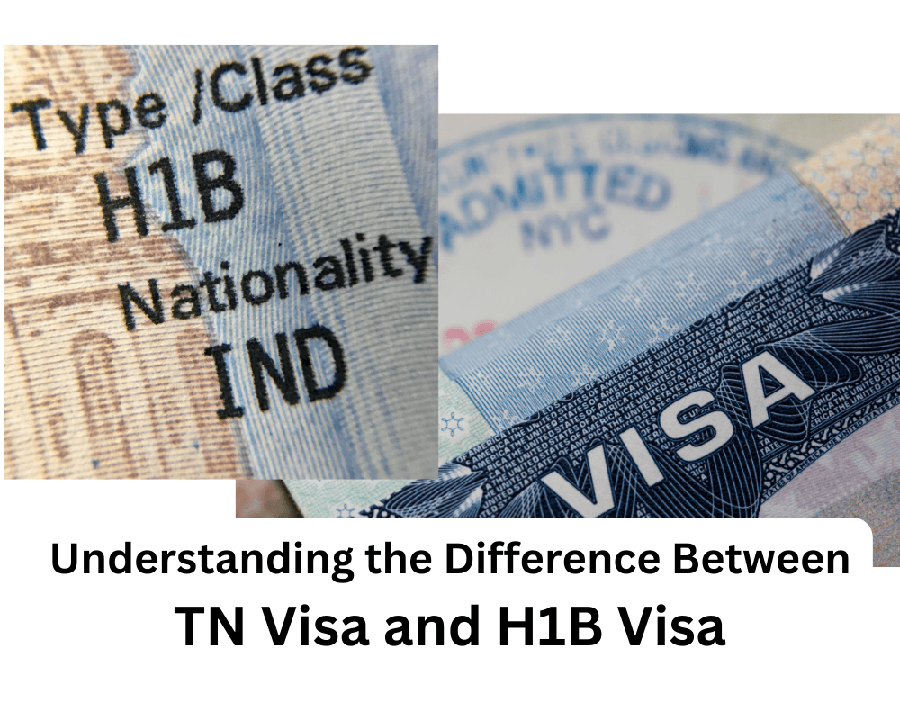 Fact Check: Are TN visas at risk?