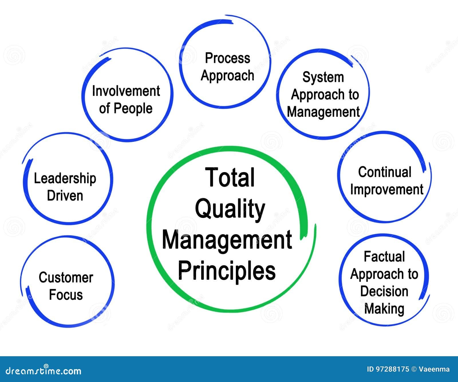 Fact Check: Are TQLs winning principles principles that lead to success in Total Quality Leadership?